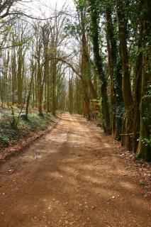 Luxury Shepherds Hut - 9