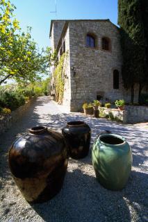 Nittardi - Castellina in Chianti - 2