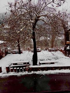 Ξενώνας με Θέα τα Έλατα - 2