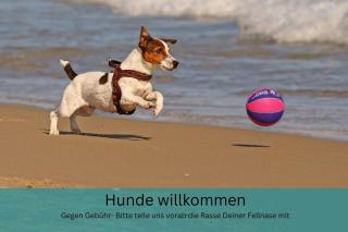 Appartement "Strandhöhle" - für die kleine Familie mit einem Kind - Binz - 8