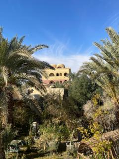 Safari Camp Bahariya Oasis - Bawiti - 9