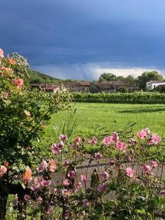 Casa del Grivò - Alloggio Luna - Canal di Grivo - 1