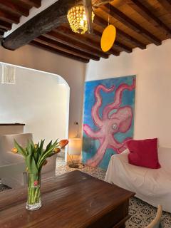 la casa del Polpo Rosa - Campiglia Marittima - 7