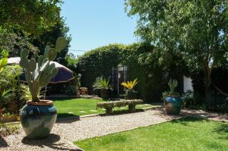 The Ivy Studio - McGregor - 9