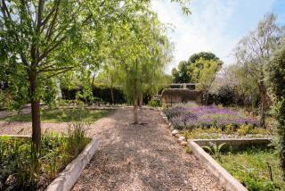 The Ivy Studio - McGregor - 8