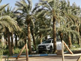 camping la palmerie rachid - - 3