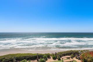 SandyToes-SunKist Nose-CHAT2 - Solana Beach - 9