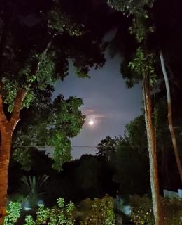 Vibrations Villas - Talpe - 5
