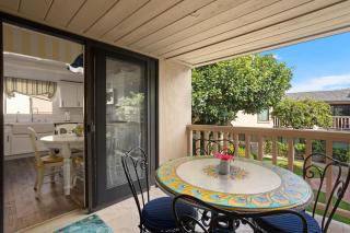Dolphin View - SUR43 - Solana Beach - 8