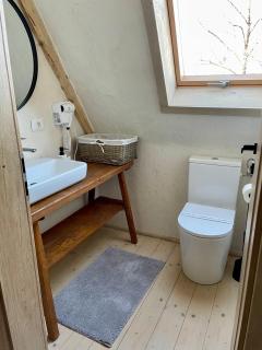 Rustic Inn bed and breakfast - Budeşti - 8
