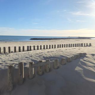 Sable & Pampas - Meublé de Tourisme 5 étoiles - Carnon-Plage - 6