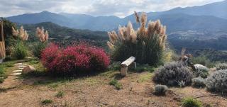 Vue de rêve - Calcatoggio - 7