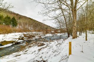 Mtn-View Deck and Grill Creekside Catskills Cabin! - Equinunk - 9