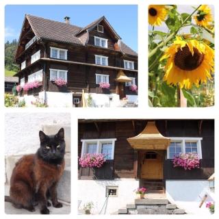 Ferienwohnung Scheftenau im Toggenburg - Wattwil - 9