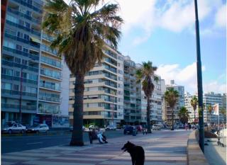 Apto a una cuadra de la playa Pocitos - Montevideu - 5