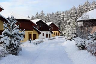 Villa Park Lipno-Lipno-In - 9