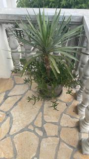 Holiday Home 1 - Bibinje - 7
