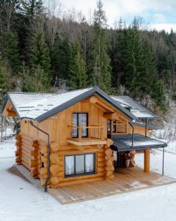 Cabana Cozy Nest - Topliţa - 9