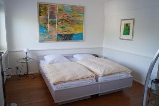 Hotel Freiheit - Colonia - 7