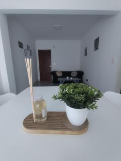 Departamento 9 de Julio - Tandil - 9