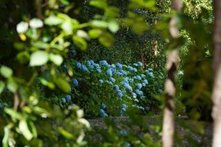 Complejo Kari Mapu Park - 8