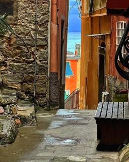 Rio Alba blu loft - holiday house 5 terre Riomaggiore - Riomaggiore - 5