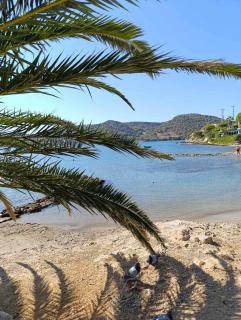 Anatoli's Apartment - 1