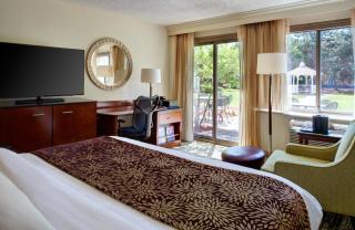 Detroit Marriott Livonia - Livonia - 9