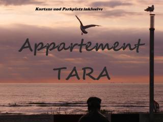 Geräumiges und Modernes Apartment Tara am Meer mit Parkplatz! - Zandvoort - 0