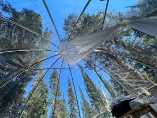 Triple G’s Resort - Sky Dome 2 - Pinnacle - 2