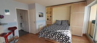 Studio Vue imprenable sur la Mer et les 7 Iles - Trévou-Tréguignec - 2