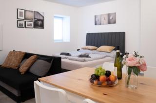Apartmán DOMA na Lipně - Lipno nad Vltavou - 0