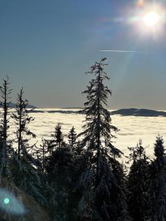 Domek Oźna płoscyna - Rajcza - 9