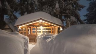 Holiday Home Tirol - Vlasic - 8