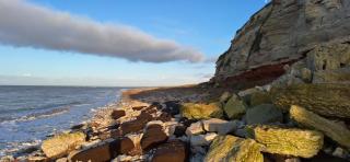 Seagull Cottage - Hunstanton - 2