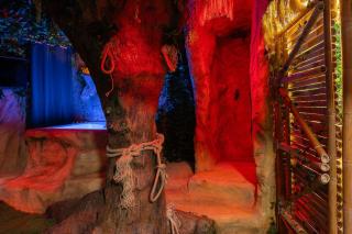 Jungle Crash Love Room - Unieux - 8