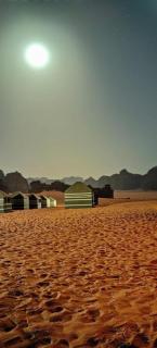 flowers wadi rum - 1