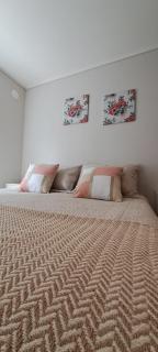 Montenegro II Estudio 2 - 5