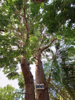 Akki's Hostel - Trincomalee - 9