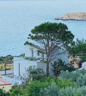 Villa Costanza - San Vito Lo Capo - 3