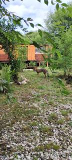 PrimaveraSierras de Córdoba - 6