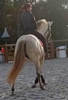 Quinta do Lidador - 4