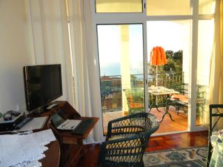 Apartment Palma Madeira wandern und tauchen - Caniço - 8