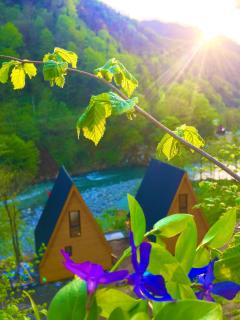 A villa in nature - 5