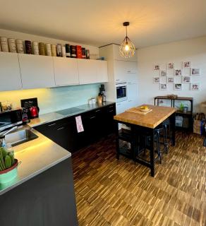Penthouse 5 Room Duplex 3 Terraces, Near Center and Rhine - Bazel - 9