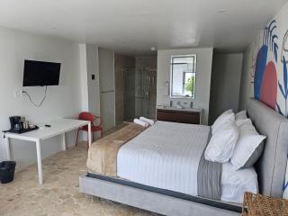 Buye Apartments - Cabo Rojo - 9