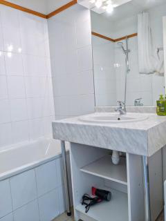 Appt T3 calme bord du lac avec piscine - 1