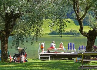 Ferienhof Obergasser und Bergblick - 1