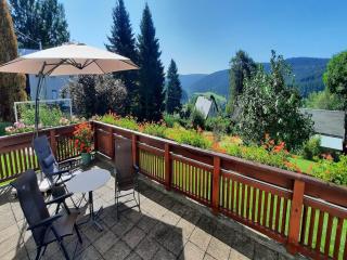 Ferienwohnung Irene - große Terrasse mit Ausblick - Breitenbrunn - 0
