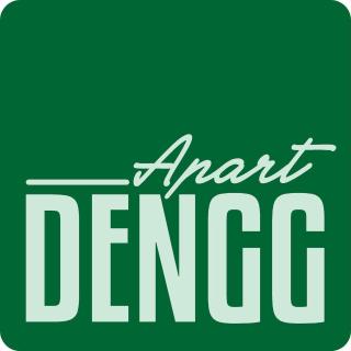 Apart Dengg - Kaltenbach - 9